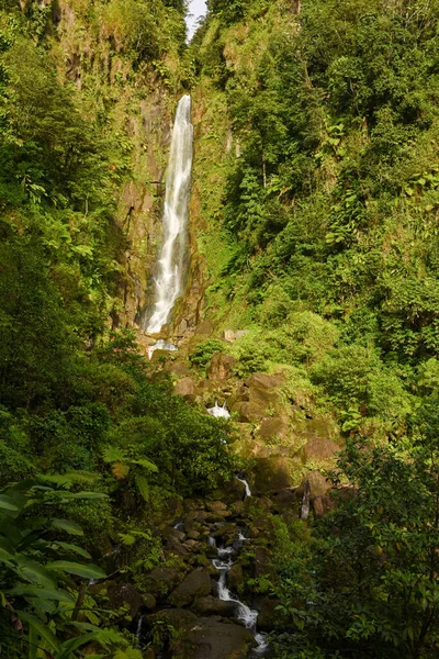 Domenica adasındaki Trafalgar Şelalesi manzarası