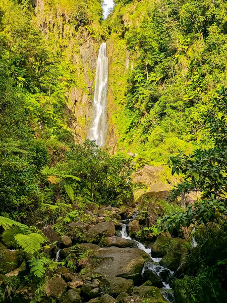 Domenica adasındaki Trafalgar Şelalesi manzarası