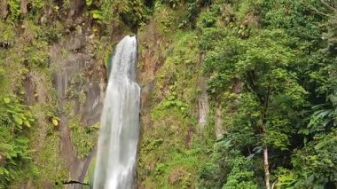 Domenica adasındaki Trafalgar Şelalesi manzarası