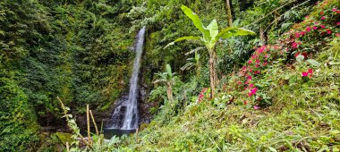 Jamaika 'daki Mavi Dağlar' daki Cascade Falls 'a bakın.