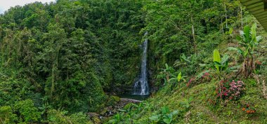 Jamaika 'daki Mavi Dağlar' daki Cascade Falls 'a bakın.