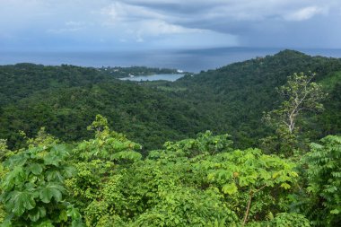 Jamaika 'daki Nonsuch şelalesinin sahili.