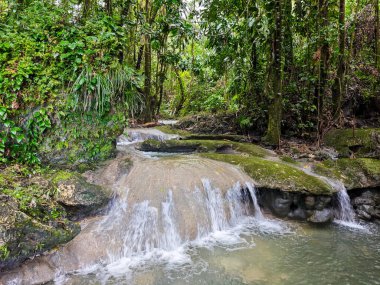Jamaika 'daki Nonsuch şelalelerine giden yolda.