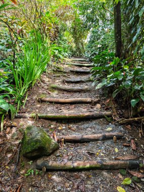 Dominica 'daki Wotten Waven' da Ti Kwen Glo Cho Spa Bahçesi