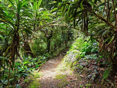 Dominica 'daki Wotten Waven' da Ti Kwen Glo Cho Spa Bahçesi