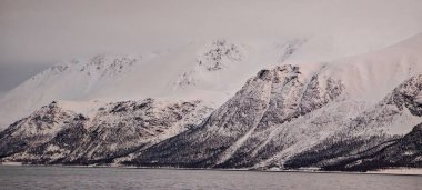 Norveç 'teki Tromso yakınlarındaki fiyortlara bak.