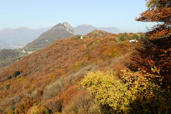Höstigt landskap med en trä nära Lugano — Stockfoto