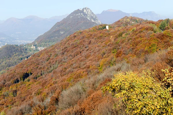 Höstigt landskap med en trä nära Lugano — Stockfoto