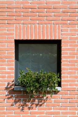 Bir tuğla ev Windows