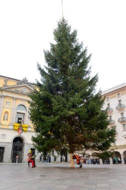 İşçiler bir Noel ağacı hareket
