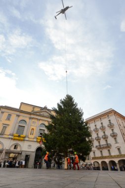 İşçiler bir Noel ağacı hareket