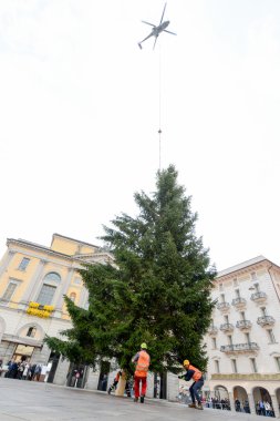 İşçiler bir Noel ağacı hareket