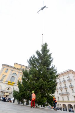 İşçiler bir Noel ağacı hareket