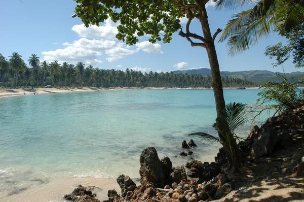 La spiaggia di Rincon vicino Las Galeras — Foto Stock