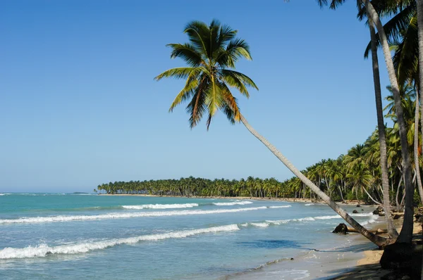 Karibské pláži Playa bonita v Las Terrenas — Stock fotografie