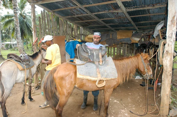 Personas preparando caballos para un viaje turístico — Foto de Stock