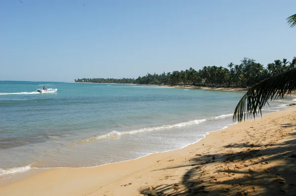 Карибский пляж playa bonita в Лас-Терренас — стоковое фото