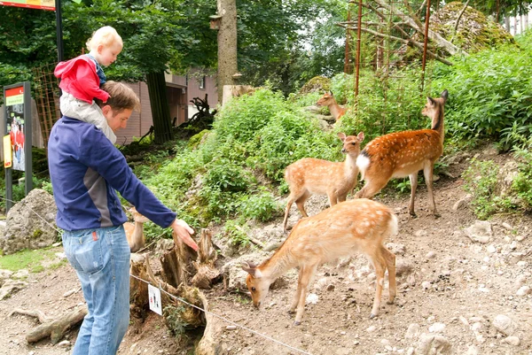 Žena s dítětem, který pohladit kozla v zoo — Stock fotografie