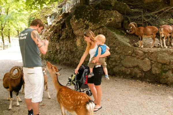 Frau mit Kind, die die Ziege im Zoo tätschelt — Stockfoto