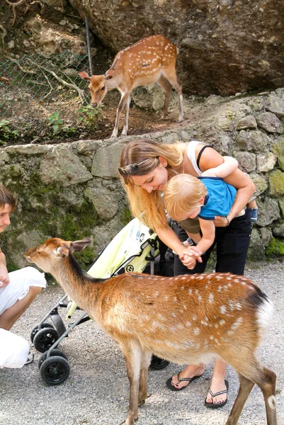 Žena s dítětem, který pohladit kozla v zoo — Stock fotografie