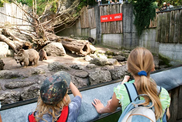 Gente mirando osos pardos en el zoológico de Goldau — Foto de Stock