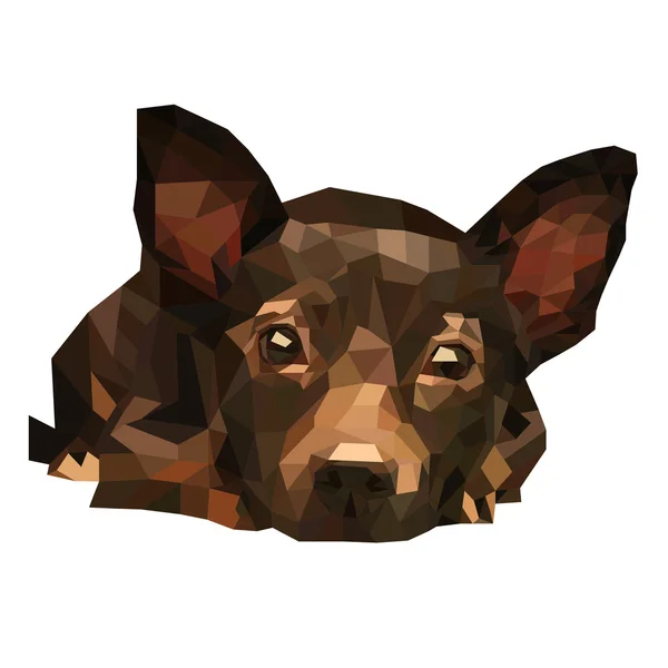 Полігональних коричневий собака — стоковий вектор