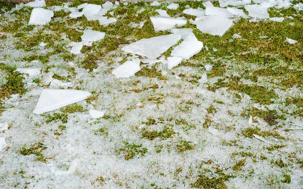 Sprucken is och frost utspridda på gräs. — Stockfoto
