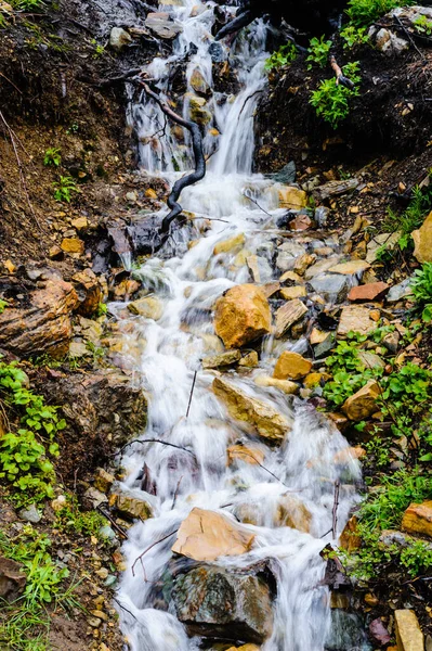 Fluxo Cascata Sobre Solo Ramos Rochas — Fotografia de Stock