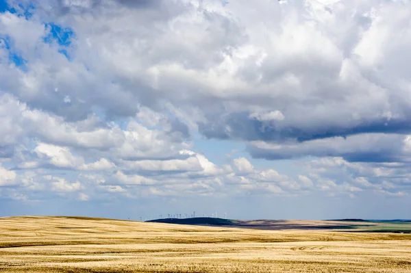 Prairie Landscape Wind Generators Distance Low Clouds Alberta Canada — Stock Photo, Image