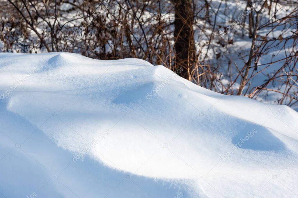 Contoured white snow drift in shadows near twigs and branches.
