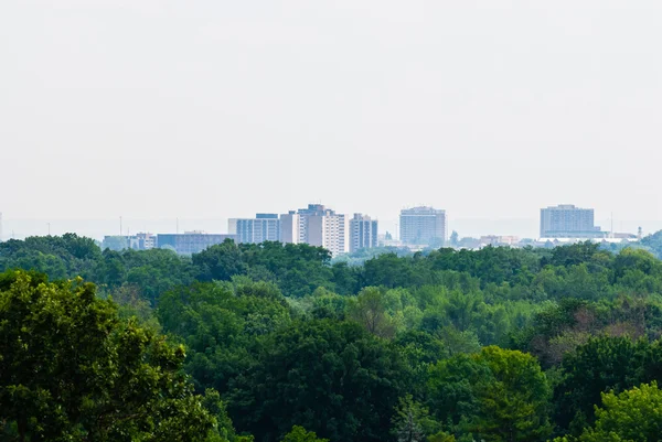 Green forest against distant buildings — Stock Photo, Image