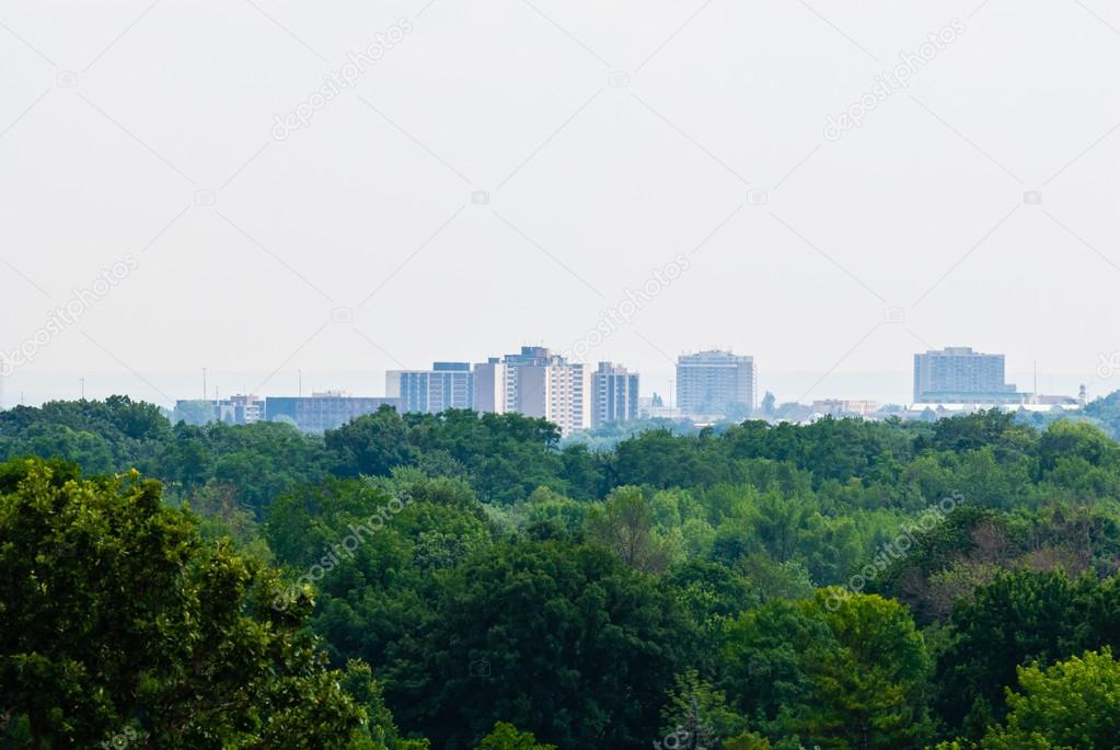 Green forest against distant buildings