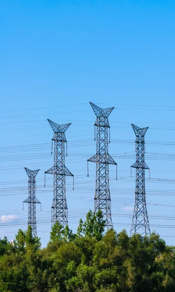 Cztery wieże elektryczne na niebie za drzewa — Zdjęcie stockowe