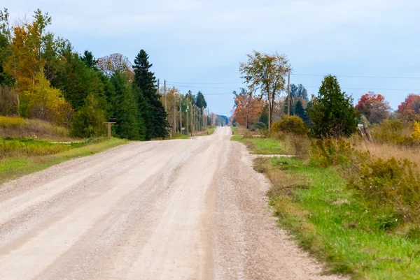 Empty rural country dirt road and shrubs — Stock Photo, Image