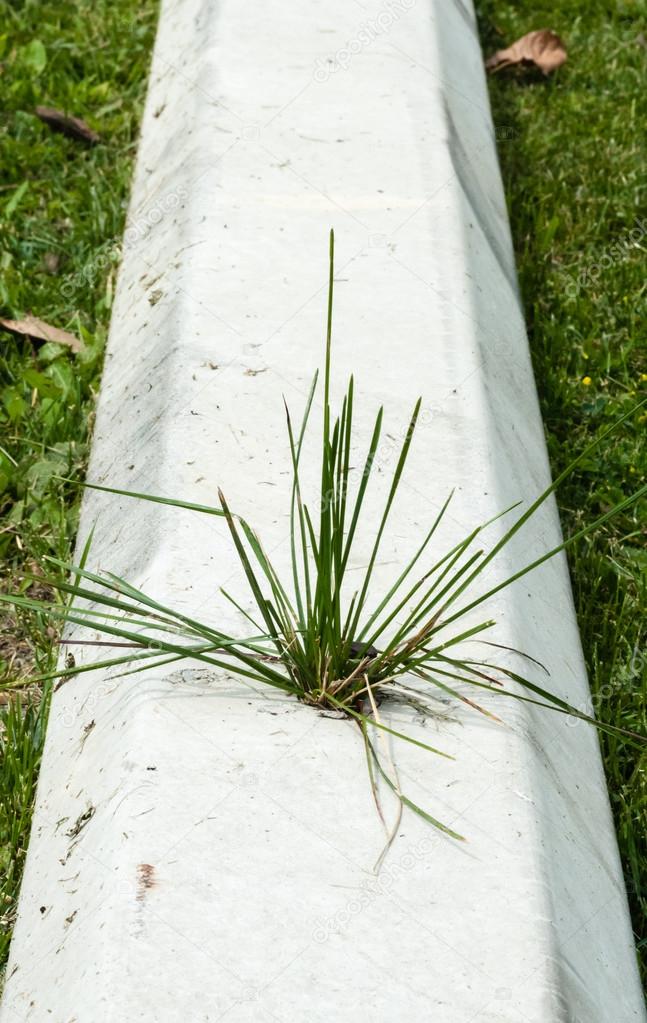 Concrete block with grass growing out of it — Stock Photo © ArchonCodex