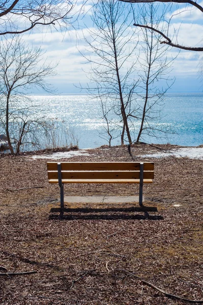 Empty wood bench at lake and bare trees in winter. — Stock Photo, Image