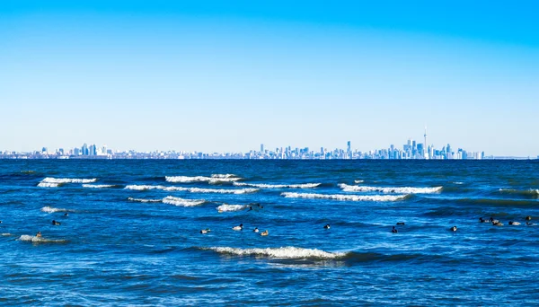 Olas rompiendo en el lago con el horizonte de Toronto en el horizonte distante . — Foto de Stock