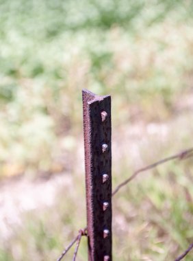 Tek eski paslı dikey metal çubuk