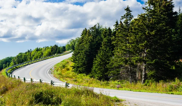 Empty paved road curving downhill — Stock Photo, Image