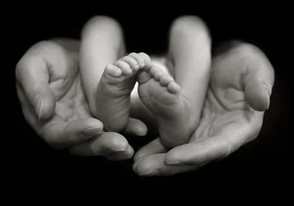 Baby Feet held by Father's Hands Stock Image
