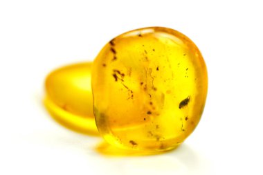 Sivrisinekli kehribar taşlar, izole beyaz arka plan. Baltık denizinden parlak sarı taş. Mücevherler için doğal mineral. Yaklaş, makro fotoğraf..