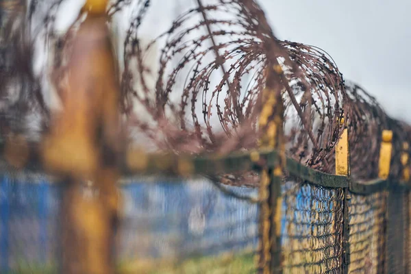 Yasak bölgenin çitlerinde dikenli tel var. İzinsiz giriş yok. Askeri sınırın eski çitleri