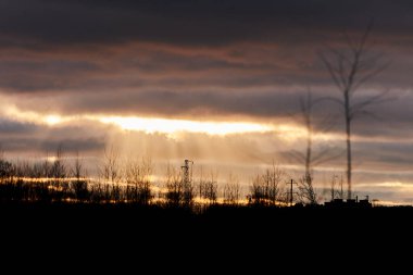 Koyu ağaçlı ve siluetli turuncu renkli günbatımı. Kırsal akşam manzarası, bulanık.