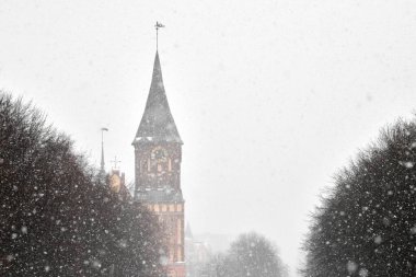 Cathedral in Kaliningrad named after Kant against background of cloudy winter landscape. Konigsberg Cathedral in winter, Christmas snowfall.