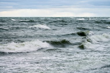 Kabaran ve köpüren dalgalarla ve güzel bulutlu gökyüzüyle mavi denizin manzarası. Baltık Denizi manzarası.