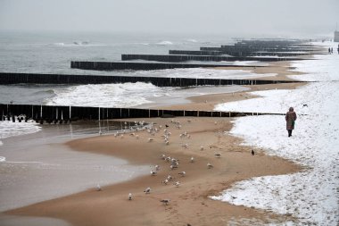 Baltık Denizi manzarası denize kadar uzanan eski, uzun, ahşap dalgalar. Kumsaldaki martılar. Sessizlik, yalnızlık, sakinlik ve huzur..