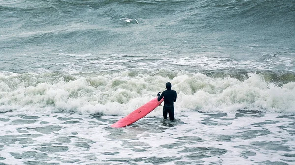 Male surfer in black swimsuit in ocean with red surfboard waiting for big wave. Warm day, beautiful sea waters, nature scene. Sport and outdoor activity concept.