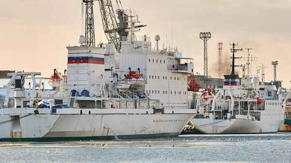 Moored cargo ships and harbor cranes in port. Seaport, cargo container yard, container ship terminal, shipyard. Business and commerce, logistics. Winter industrial scene.