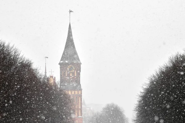 Cathedral in Kaliningrad named after Kant against background of cloudy winter landscape. Konigsberg Cathedral in winter, Christmas snowfall.