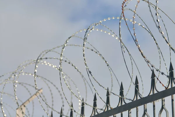 Barbed wire on fence, steel grating fence, metal fence wire. Coiled razor wire with sharp steel barbs on top of wire mesh perimeter fence. Private area, safety and security concept.